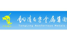 銅陵有色金屬變頻電機維修